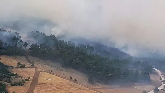 Muğla yangınlarında 9'uncu günde son durum
