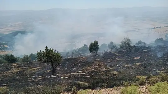 Nurdağı'nda orman alanda yangın