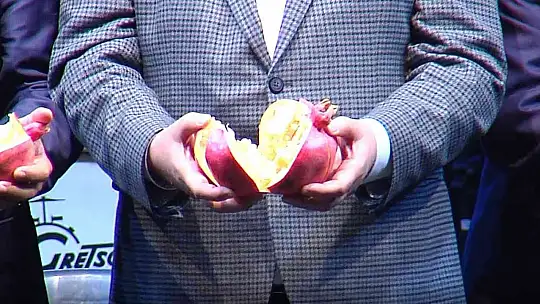 Oğuzeli'nde Nar ve Kurutmalık festivali
