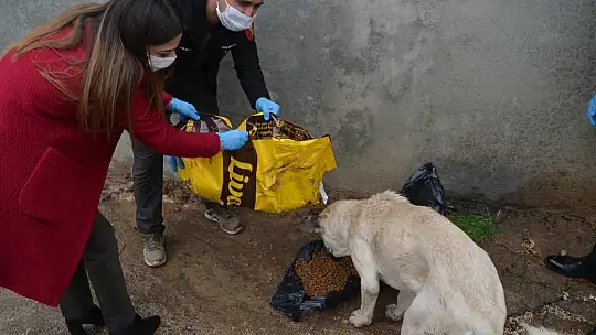 Oğuzeli'nde sokak hayvanları için örnek davranış