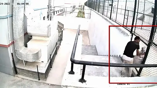 Okul faresi tutuklandı