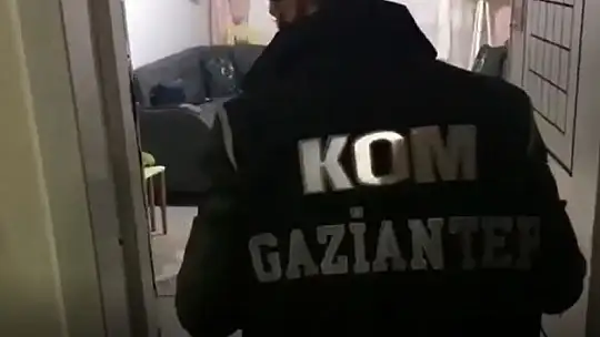 Organize suç örgütü yöneticisi yakalandı