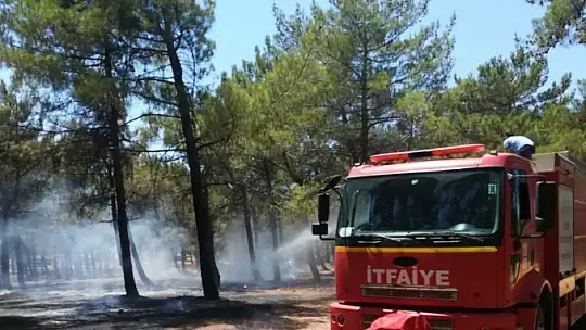 Gaziantep Burç Ormanında yangın korkuttu