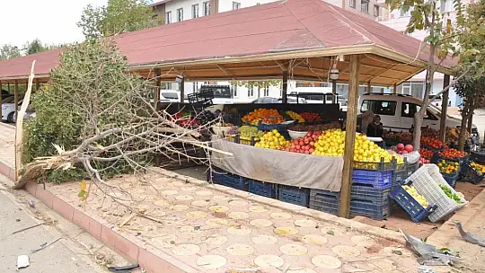 Otomobilin altında kalmaktan son anda kurtuldular