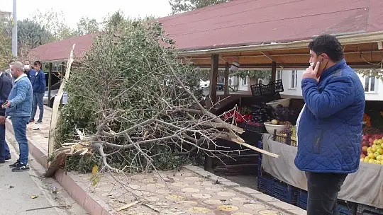 Otomobilin altında kalmaktan son anda kurtuldular