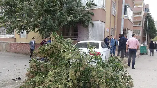 Otomobilin altında kalmaktan son anda kurtuldular