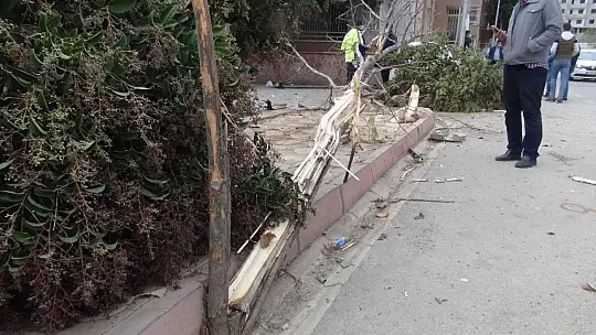 Otomobilin altında kalmaktan son anda kurtuldular