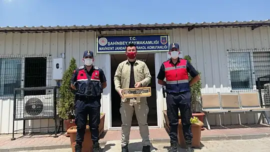 Özel düzenekle saka kuşu avlayan kaçak avcılar jandarmaya yakalandı