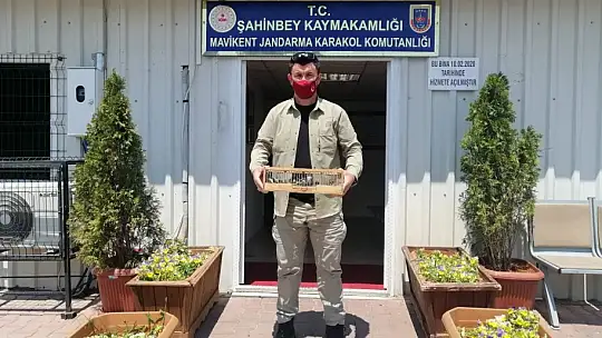 Özel düzenekle saka kuşu avlayan kaçak avcılar jandarmaya yakalandı