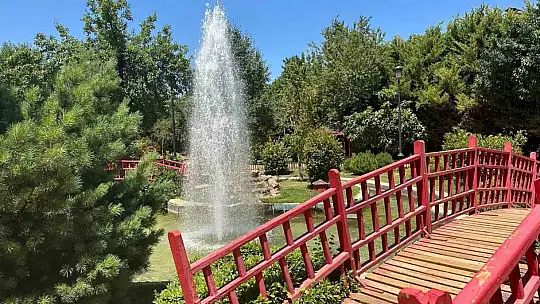 (ÖZEL) Gaziantep'te çiftler doğal fotoğraf stüdyosunu tercih ediyor