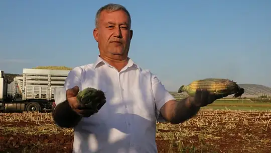 Türkiye'nin hayvan yemi Gaziantep'ten