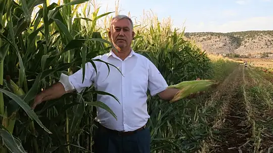 Türkiye'nin hayvan yemi Gaziantep'ten