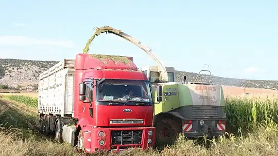 Türkiye'nin hayvan yemi Gaziantep'ten
