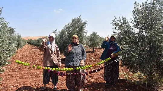 Patlıcan ve biberler kadınların elinde Gaziantep'in tescilli lezzeti 'kurutmalık' oluyor