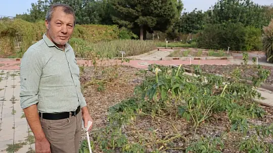 Rengi ve görüntüsüyle cezbeden bu bitkiler zehirliyor