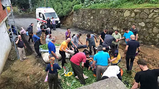 Rize'de tur minibüsü devrildi: 24 yaralı