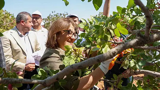 Şahin Barak Ovası'nda hasada katıldı