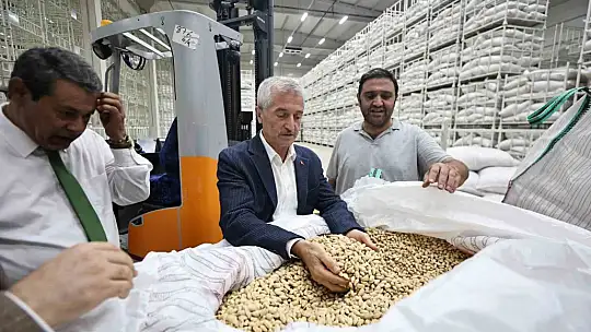 Şahinbey Belediyesi fıstık alımına başladı
