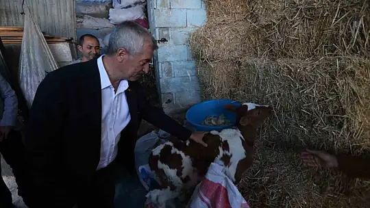 Şahinbey Belediyesi'nin destekleri ile hayvancılık gelişiyor