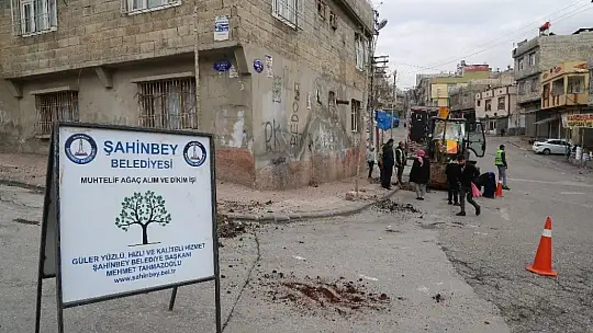 Şahinbey'e 4 milyon 215 bin ağaç dikildi