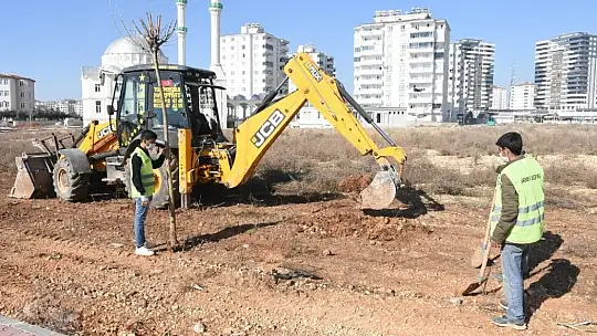 Şahinbey'e 4 milyon 215 bin ağaç dikildi