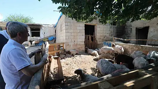 Şahinbey'in destekleriyle hayvancılık gelişiyor