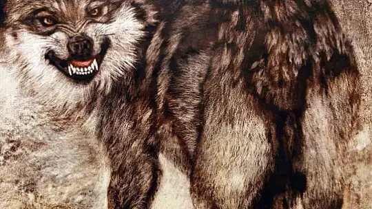 SANKO Sanat Galerisi'nde 'At, Primitif ve Deprem' temalı sergi