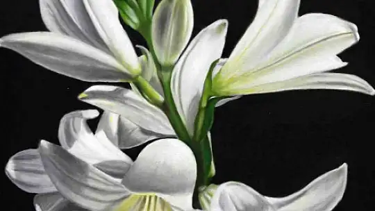 SANKO Sanat Galerisi'nde 'Yansımalar' temalı resim sergisi