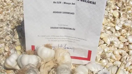 Gaziantep Araban sarımsağı tescillendi