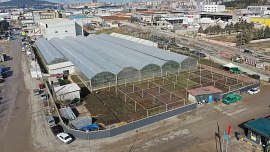 Şehitkamil'de bir günde 200 bin tohum toprakla buluşturuluyor