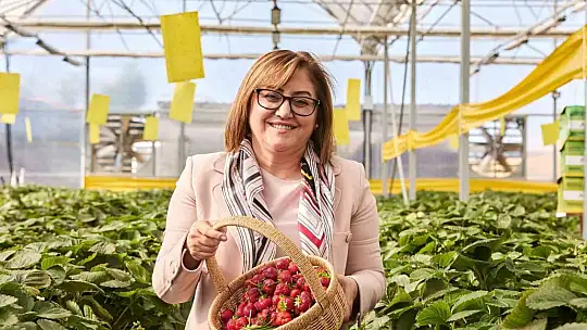 Seranın ürünleri yaşlılara dağıtıldı