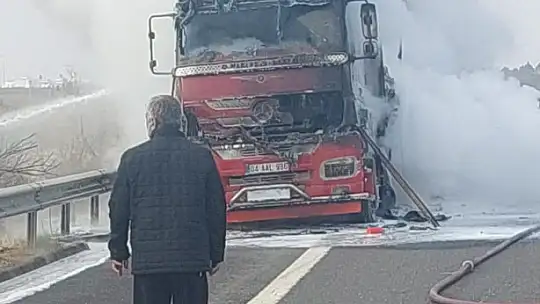 Seyir halinde alev alan tır kül oldu