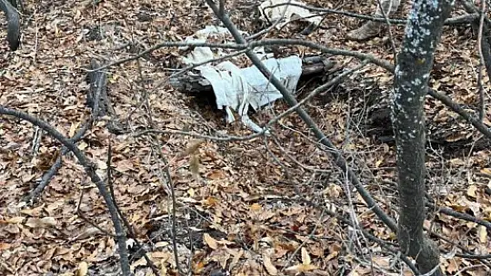 Şırnak'ta 'Eren Abluka Sonbahar-Kış-19 Şehit Jandarma Astsubay Üstçavuş Serkan Ünsal-1 Operasyonu' başlatıldı