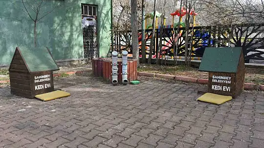 Sokak hayvanları için su çağrısı
