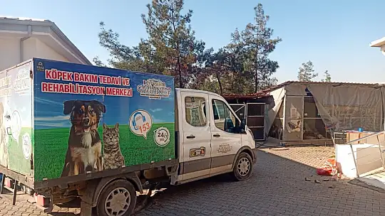 Sokak hayvanlarına sahip çıkıldı