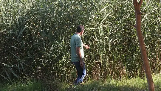 Sosyal medyada canlı yayından sonra intihar etti