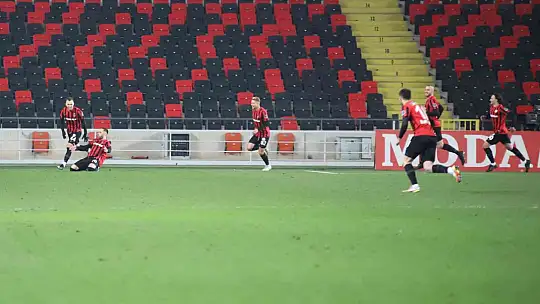 Spor Toto Süper Lig: Gaziantep FK: 1 - Fenerbahçe: 2 (Maç sonucu)