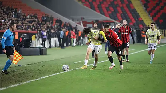 Spor Toto Süper Lig: Gaziantep FK: 1 - Fenerbahçe: 2 (Maç sonucu)