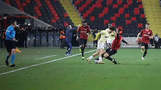 Spor Toto Süper Lig: Gaziantep FK: 1 - Fenerbahçe: 2 (Maç sonucu)