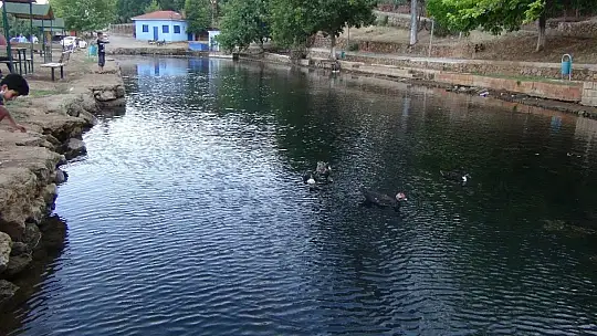 Su bolluğunda kuraklık yaşıyorlar