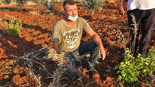 Su bolluğunda kuraklık yaşıyorlar