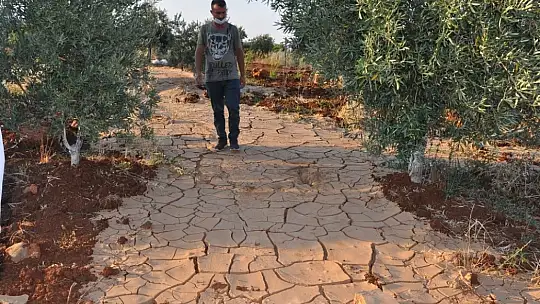 Su bolluğunda kuraklık yaşıyorlar