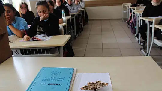 Sultanbeyli'de okulda görülen 17 santimlik dev kelebek görenleri şaşırttı