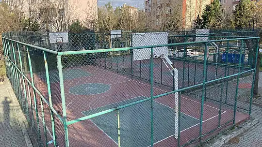 Gaziantep'teki pitbul saldırısından sonra İstanbul'da iki çocuğa pitbul saldırısı