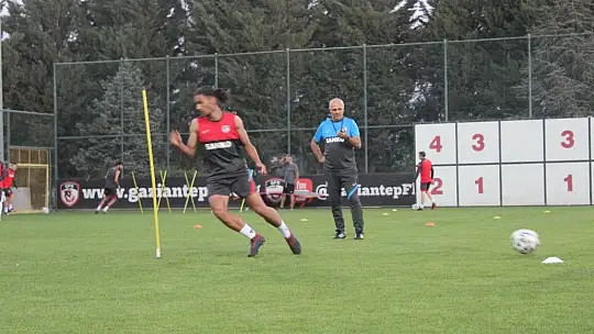 Sumudica: acilen transfer istiyorum