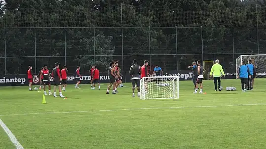 Sumudica: acilen transfer istiyorum