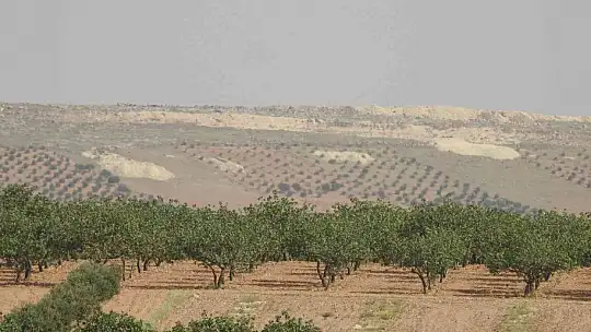 Suriye'de, YPG/PKK'lı teröristlerin cirit attığı mevziler boş kaldı
