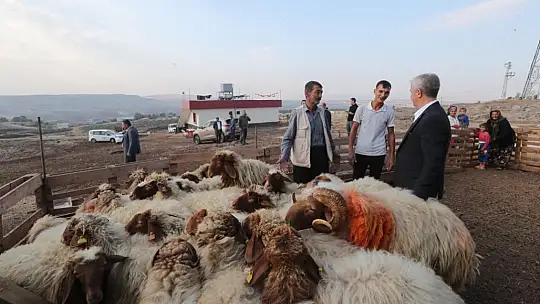 Tahmazoğlu 'Hayvancılığa desteğimiz sürecek'