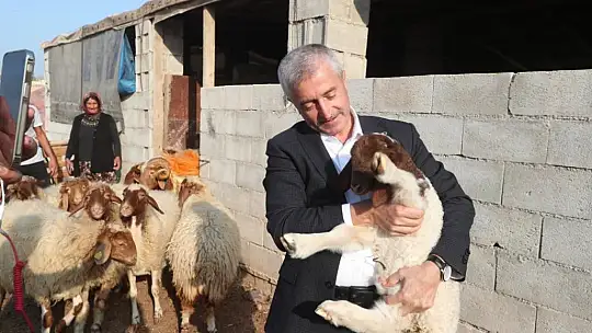Tahmazoğlu 'Hayvancılığa desteğimiz sürecek'