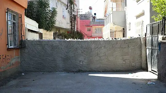 Tapulu arazim diyerek sokağı duvar örerek kapattı